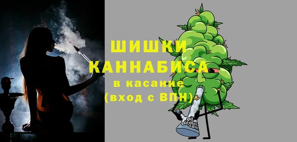 гашик Касимов